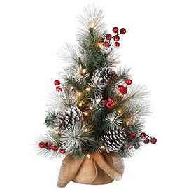 National Tree Company Pre-Lit Artificial Christmas Tree, Green, Snowy Glacier Pine, White LED Lights, Decorated with Pine Cones, Berry Clusters, Includes Cloth Bag Base, Battery Operated, 24 Inches