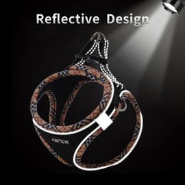 AMTOR Dog Harness with Leash Set,No Pull Adjustable Reflective Step-in Puppy Harness with Padded Vest for Extra-Small/Small Medium Large Dogs and Cats(BlackYellow)