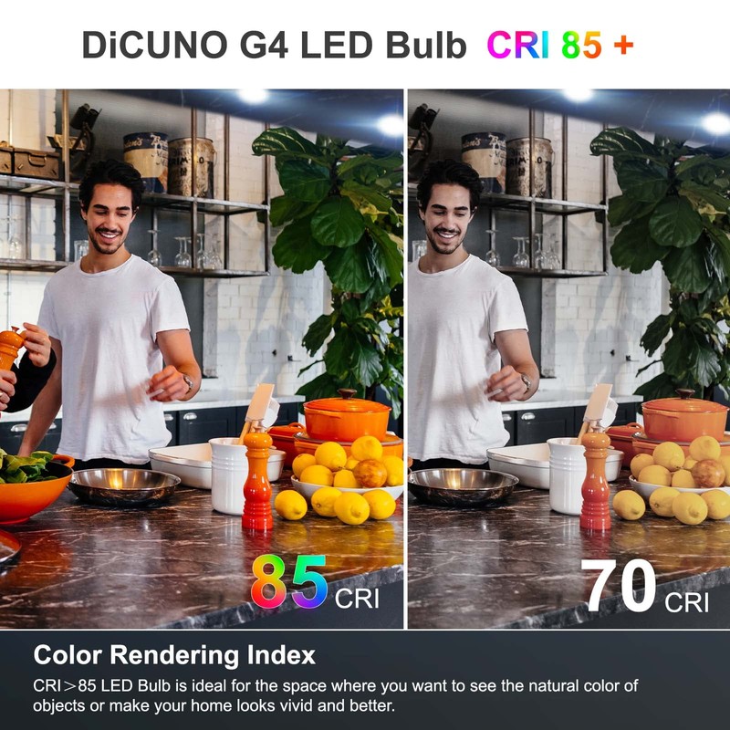 DiCUNO G4 LED Bulbs 12V 1.2W T3 10W Halogen Bulbs