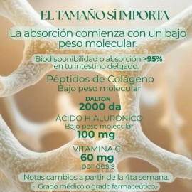 Sileben Colágeno Hidrolizado | Péptidos 2000 Dalton | 450 G