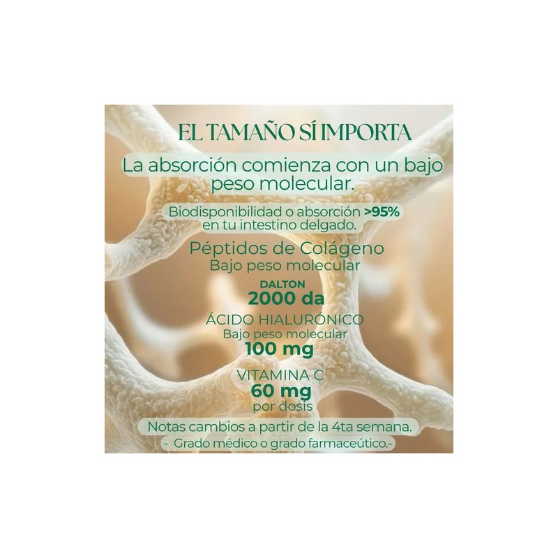 Sileben Colágeno Hidrolizado | Péptidos 2000 Dalton | 450 G