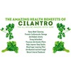 PROUDLY CANADIAN | Organic N Natural | Cilantro Leaves |100%