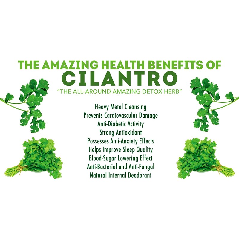 PROUDLY CANADIAN | Organic N Natural | Cilantro Leaves |100%
