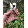 Horsvill Garden Shears, Japanese Floral branch cutters, Snips for Gardening,