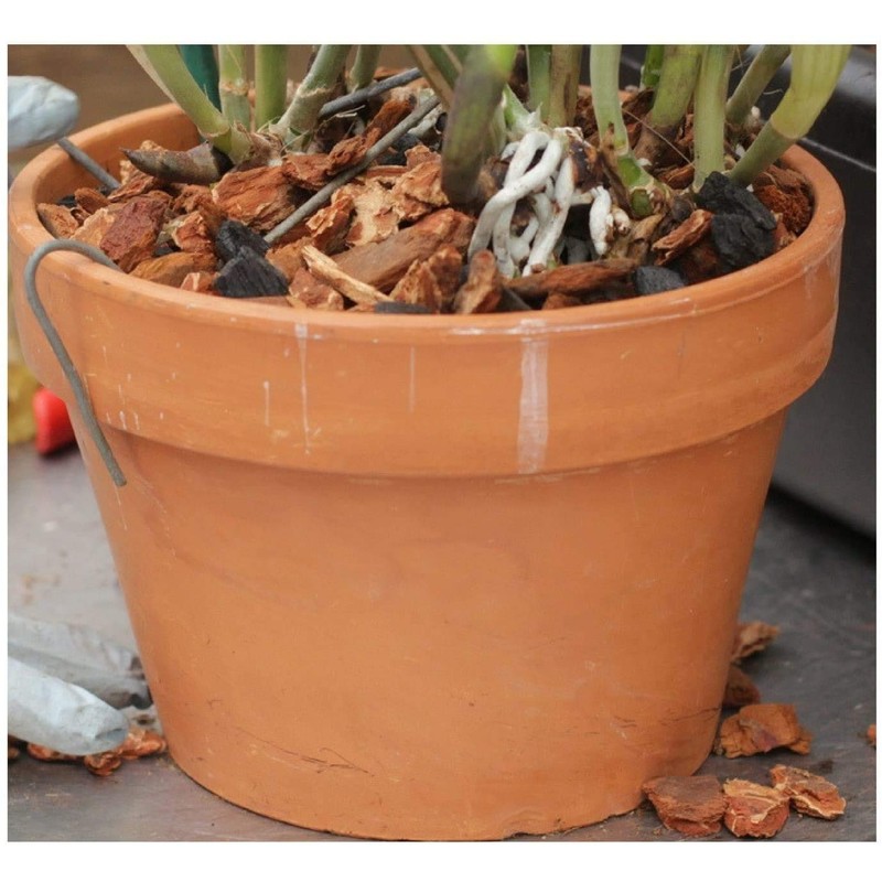 Orchid Nerd Galvanized Rhizome Clip for Clay Pot Variety 30
