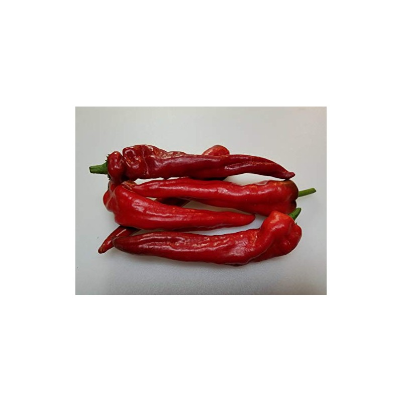Nu Mex Heritage 6-4 Pepper 20+ Seeds