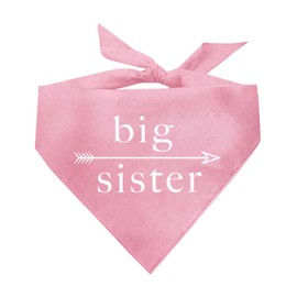 Big Sister with Arrow Gender Reveal Baby Announcement Dog Bandana (Baby Pink, OS 1)