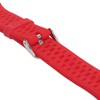 Watch Band Wrist Strap Bracelet Replacement with Needle Disassemble Tool