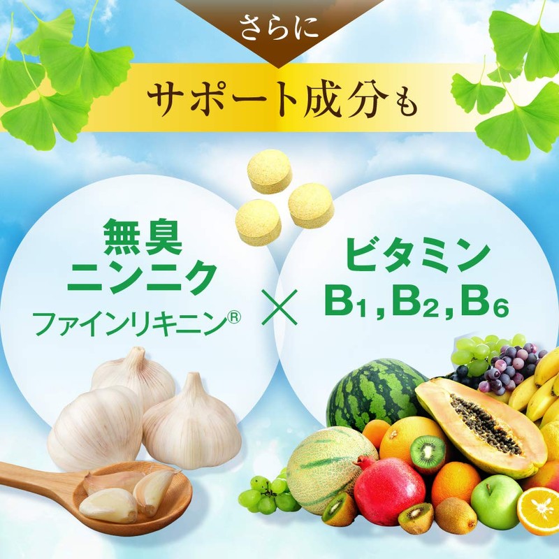 Fine Japan Ginkgo Leaf Extract, 400 Tablets (#668210) x 6