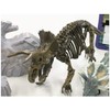 Incapable Buddy, Inc. Dinosaur Museum AR Triceratops (Painted/Assembly Type Skeleton