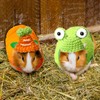 Clysee 10 Pcs Cute Guinea Pig Stuff Includes 5 Mini