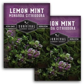 Lemon Mint Seeds for Planting - 2 Packets with Instructions to Plant & Grow Fragrant Lemon Mint in Your Home Herb Garden - Non-GMO Heirloom Variety - Survival Garden Seeds
