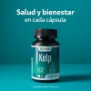 Kelp Algas Marinas - 60 Cápsulas De 500 Mg Sin
