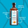 Nature Spell Argan Oil for Hair & Scalp, Pre-Diluted Oil