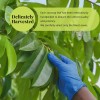 Akshit Soursop Leaves, 200+Graviola Leaves, Hojas De Guanabana Leaf, Tea,