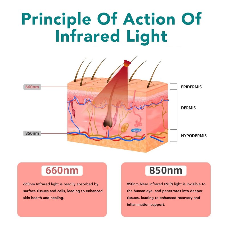 Infrared Light Belt Device for Body 660nm 850nm Red Infrared