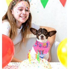 Classicseali Dog Birthday Bandana, Pink Dog Birthday Bandana Girl, Long 66cm/26In Triangle Bibs for Multi Sizes Dogs, Dogs Bandanas for Large Small Medium Pets