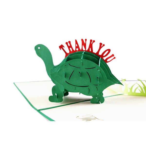 iGifts And Cards Cute Turtle Thank You 3D Pop Up Greeting Card - Funny Animals, Turquoise, Blank, Cool, Fun, Half-Fold, Thank You, Gratitude, Appreciation, Friendship, Best Friend, Belated, Kids, Grad