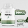 Moringa Oleifera 1500mg por Porcin (3 Cpsulas al da) -