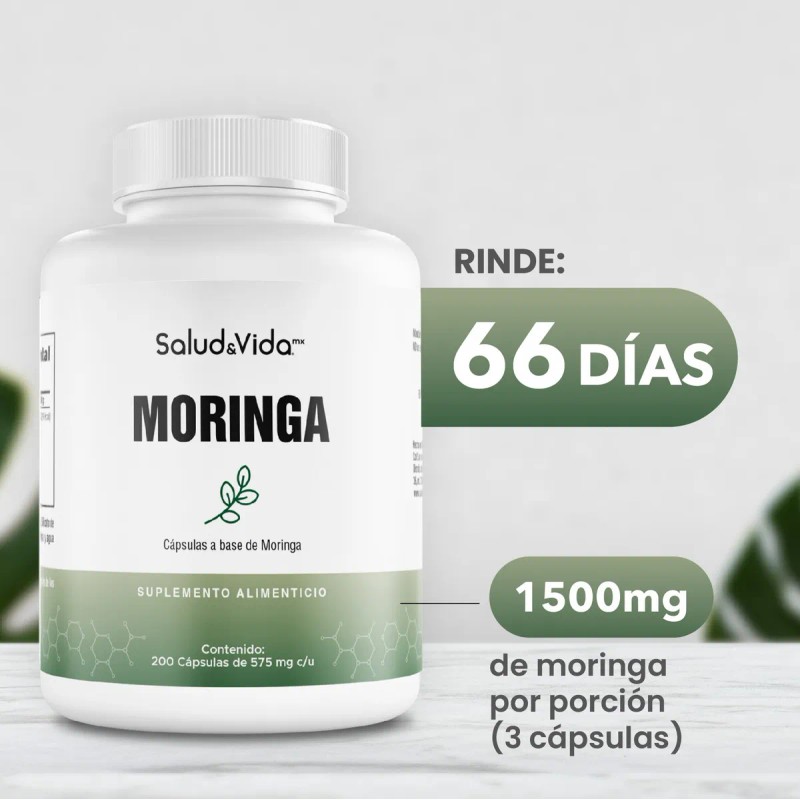Moringa Oleifera 1500mg por Porcin (3 Cpsulas al da) -
