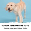 Barkbox Super Chewer Tough Dog Chew Toys for Aggressive Chewers,