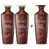 ryo Ryeo Hongjindan 820ml (2 Shampoos + 1 Treatment), 1 Set / 려 홍진단 820ml (샴푸2+트리트먼트1), 1세트