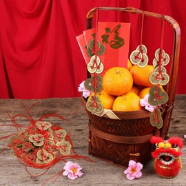 Chinese Lucky Coins, Feng Shui Coins, I-Ching Coins, Chinese Coins, Lucky Coins, Feng Shui Ching Coins, Traditional Coins with Red String for Wealth and Success, 5 Styles (10)