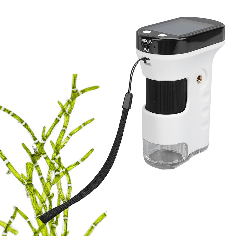 Handheld Digital Microscope 1000x Magnification Adjustable LED Light 2.4inch Screen