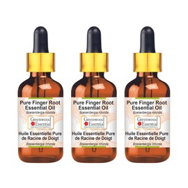 Greenwood Essential Pure Finger Root Essential Oil (Boesenbergia rotunda) with Glass Dropper Steam Distilled (Pack of Three) 100ml X 3 (10 oz)