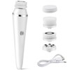 Electric Facial Cleansing Brush with 4 Interchangeable Heads, Rechargeable Face