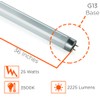 F25T8/830/ECO 25W 36 Inch T8 Fluorescent Light Bulb | 3500K