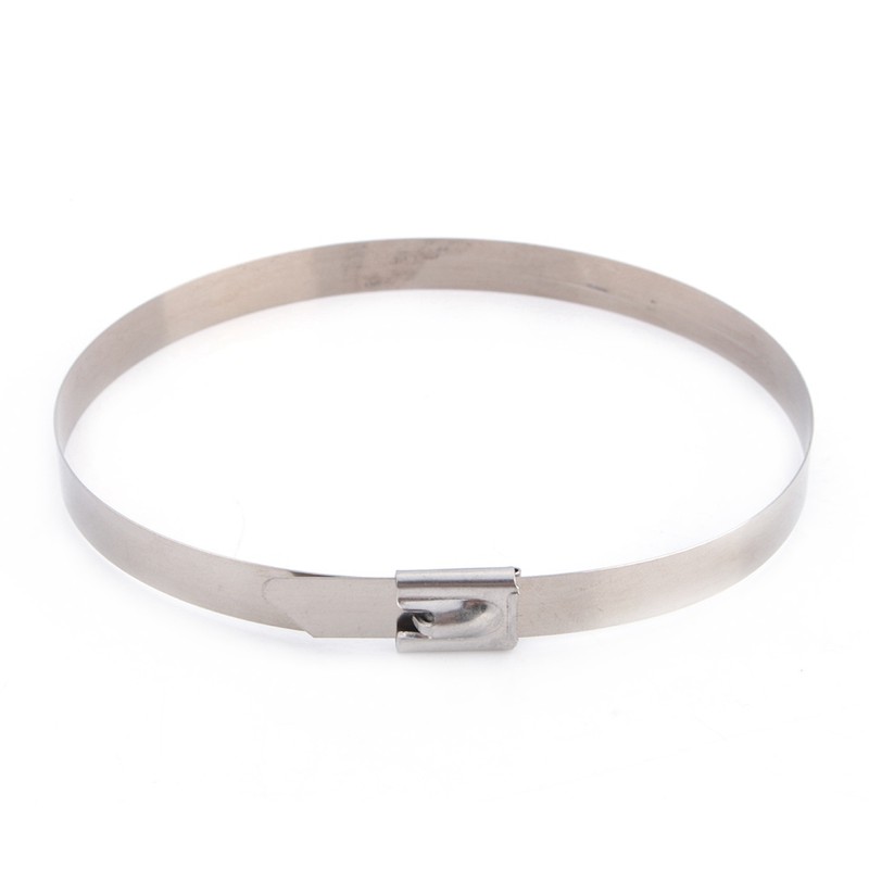 50pcs 12" Stainless Steel Exhaust Wrap Coated Self Locking Cable