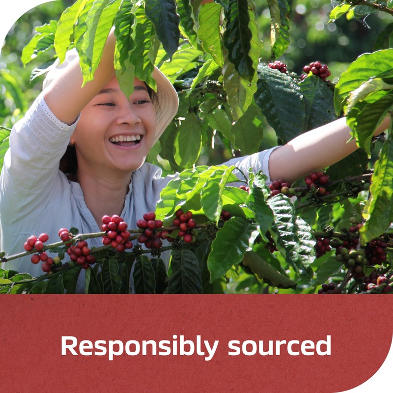 NESCAFÉ CLÁSICO Instant Coffee, Dark Roast Coffee, 1 Jar (10.5