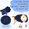 SlowTon Dog Surgery Recovery Suit - Zipper On Dog Onesies