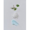 Scalp Boost Peppermint Salt Scaler 170g / 스칼프 부스트 페퍼민트