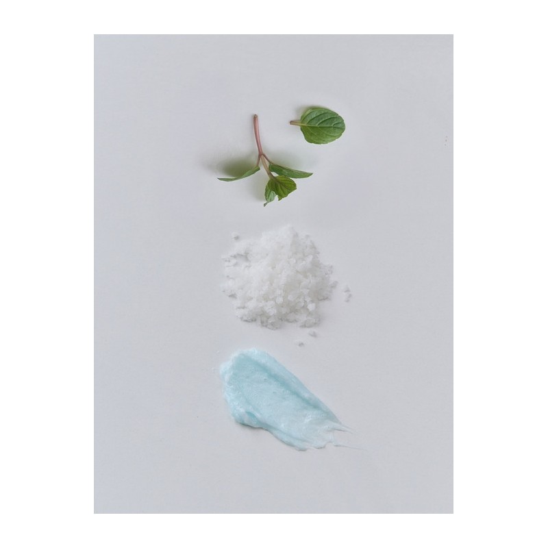 Scalp Boost Peppermint Salt Scaler 170g / 스칼프 부스트 페퍼민트