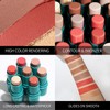 Vawolecy Contour Stick, Shades with Highlighter & Bronzer & Blush