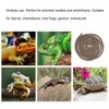 Artificial Reptile Climbing Branch Flexible Jungle 9.84ft Rattan Long Vine
