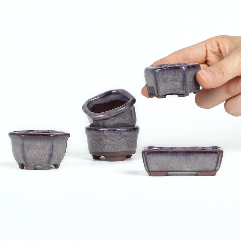 Bonsai Planter Succulent 1.8"(4.5cm) 10 Mini Glazed Pots