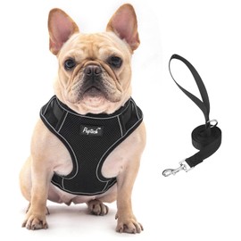 PUPTECK Dog Harness and Leash Set for Small Medium Dogs No Pull, Soft Mesh Adjustable Puppy Cat Harness Reflective at Night, Black XS