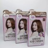 Elastin 엘라스틴 샴푸하듯 10분 간편염색 80g 자연갈색 x 3개 Elastin Shampoo-Like 10-Minute Easy Coloring 80g Natural Brown x 3 [Shampoo-like, 10-minute easy coloring, natural brown x 3]