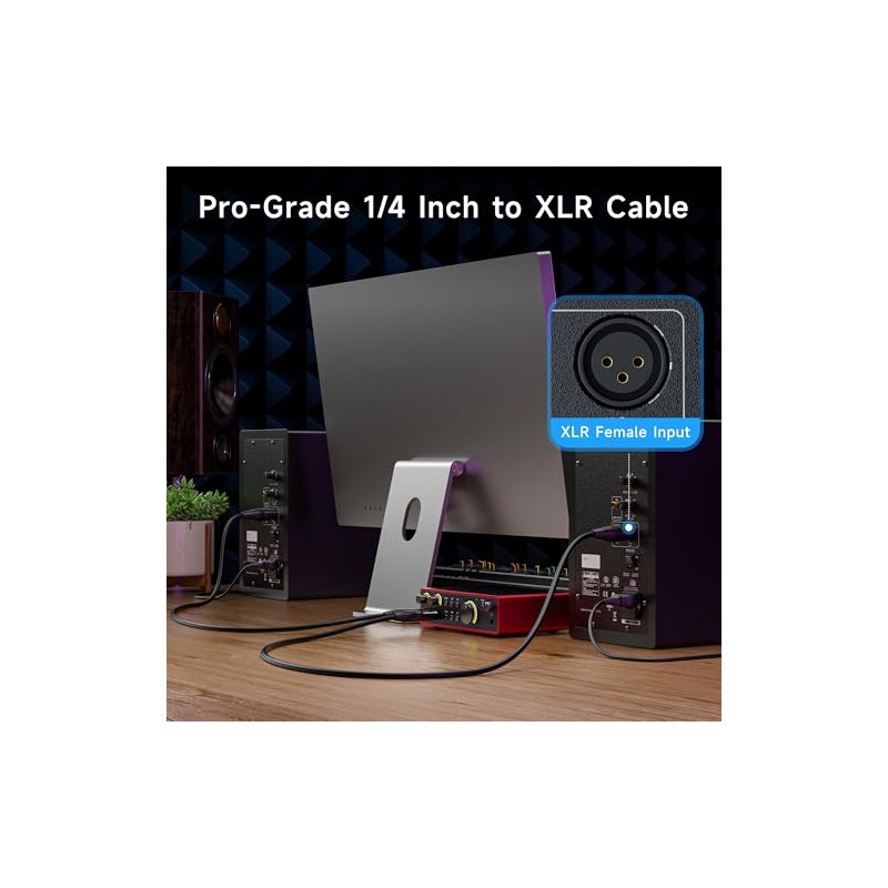 Cable Matters Cable TRS a XLR de 6,35 mm (1/4