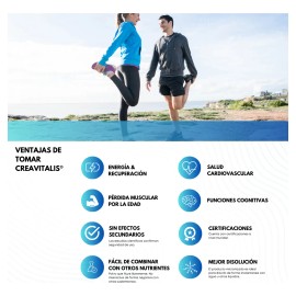 Flairfit Creatina Creavitalis Monohidratada Premium 150g Sfn