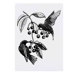Azeeda 'Stare & Wildkirschen' Temporäres Tattoo - Hautfreundlicher & Ungiftiger Abziehbild · Wasserfest (TO00036670)