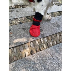 LONSUNEER Dog Shoes Soft and Lightweight, Dog Booties with Breathability Fabric, Dog Boots for Spring Summer and Fall Set of 4 Size Small Color Red