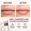 Organic Lanolin Lip Balm - Lip Repair for Hot/Dry Weather