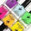 6 Piece Stamping Polish Bundle Opaque in 1 Coat by