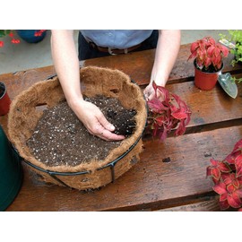 Kinsman 16 Inch Double Row Side Planting Hanging Basket with Coco Liner