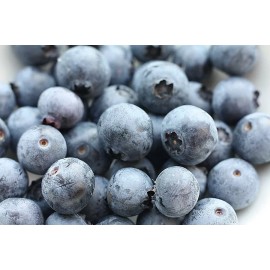 Blueberry seeds * SOUTHERN BLUEBERRY SEEDS * EVERGREEN SHRUB * HIGH TOLERANCE TO HEAT *