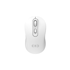 CONTROL EXPERT Mouse Inalámbrico 10M de Conexión dpi Ajustable Ergonómico Universal Ligero (Blanco)